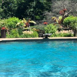 Meet your Posher, Chance